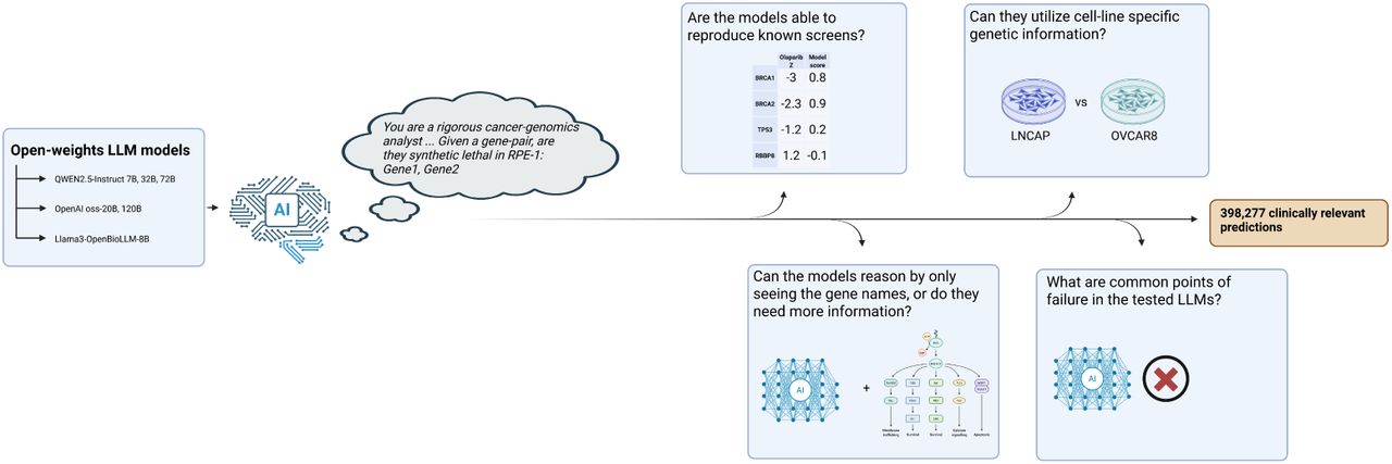 Schematic of the study: open-weight LLM models including Qwen2.5-Instruct at 7B, 32B and 72B, OpenAI oss-20B and 120B, and Llama3-OpenBioLLM-8B are given a uniform prompt asking whether a gene pair is synthetic lethal in RPE-1 cells. Four questions are tested: can the models reproduce known screens, can they use cell-line specific genetic information, can they reason from gene names alone, and what are common failure modes. The workflow ends in 398,277 clinically relevant predictions.